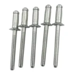 What is Hemlock Rivet?