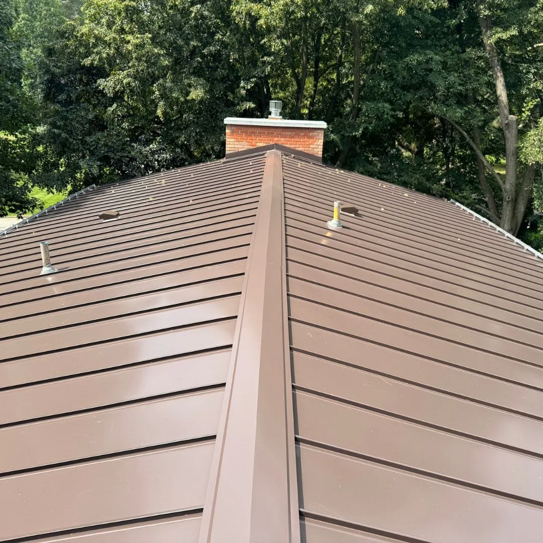 brown Roofing systems