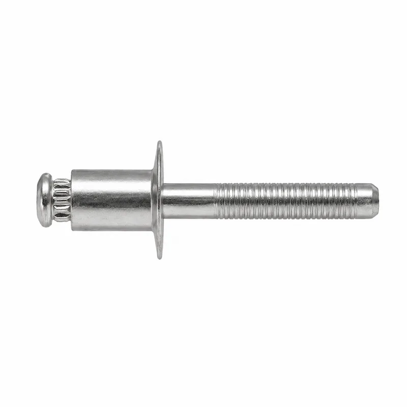 Stainless Steel body/Stainless Steel mandrel Q Rivets