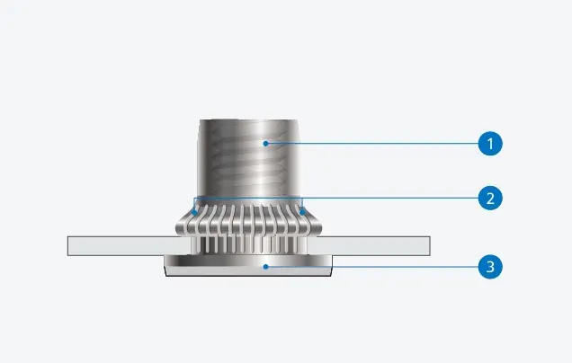 Why Choose Our Rivet Nuts