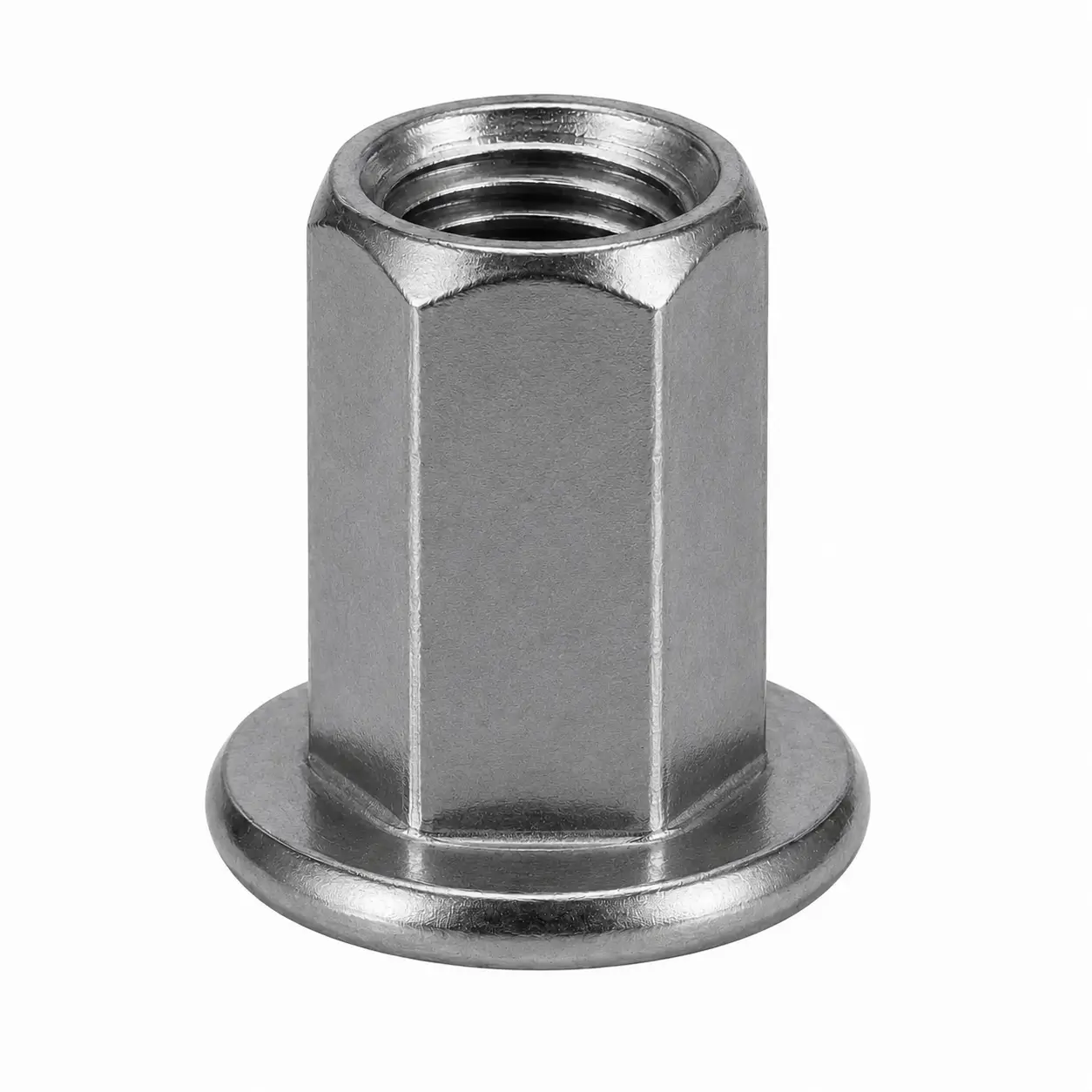 Carbon Steel Full Hex Rivet Nut