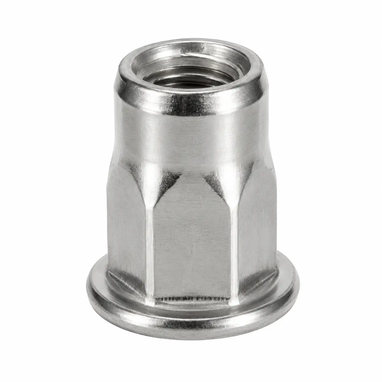 Carbon Steel Hex Rivet Nut