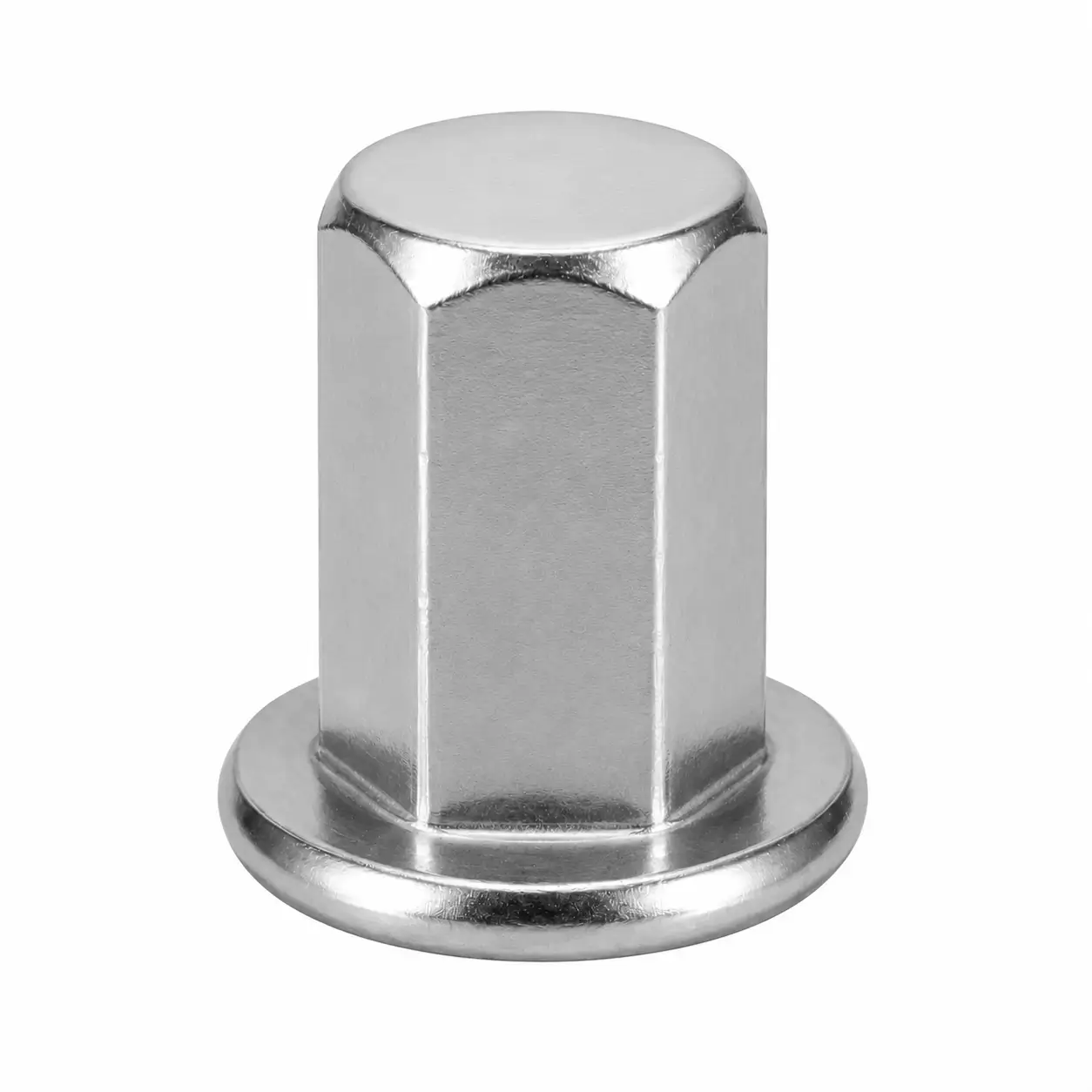 Closed End Full Hex Rivet Nut