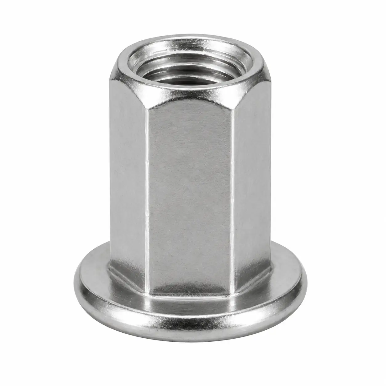 Stainless Steel Full Hex Rivet Nut