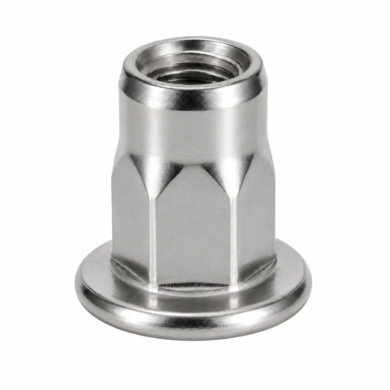 Stainless Steel Half Hex Rivet Nut