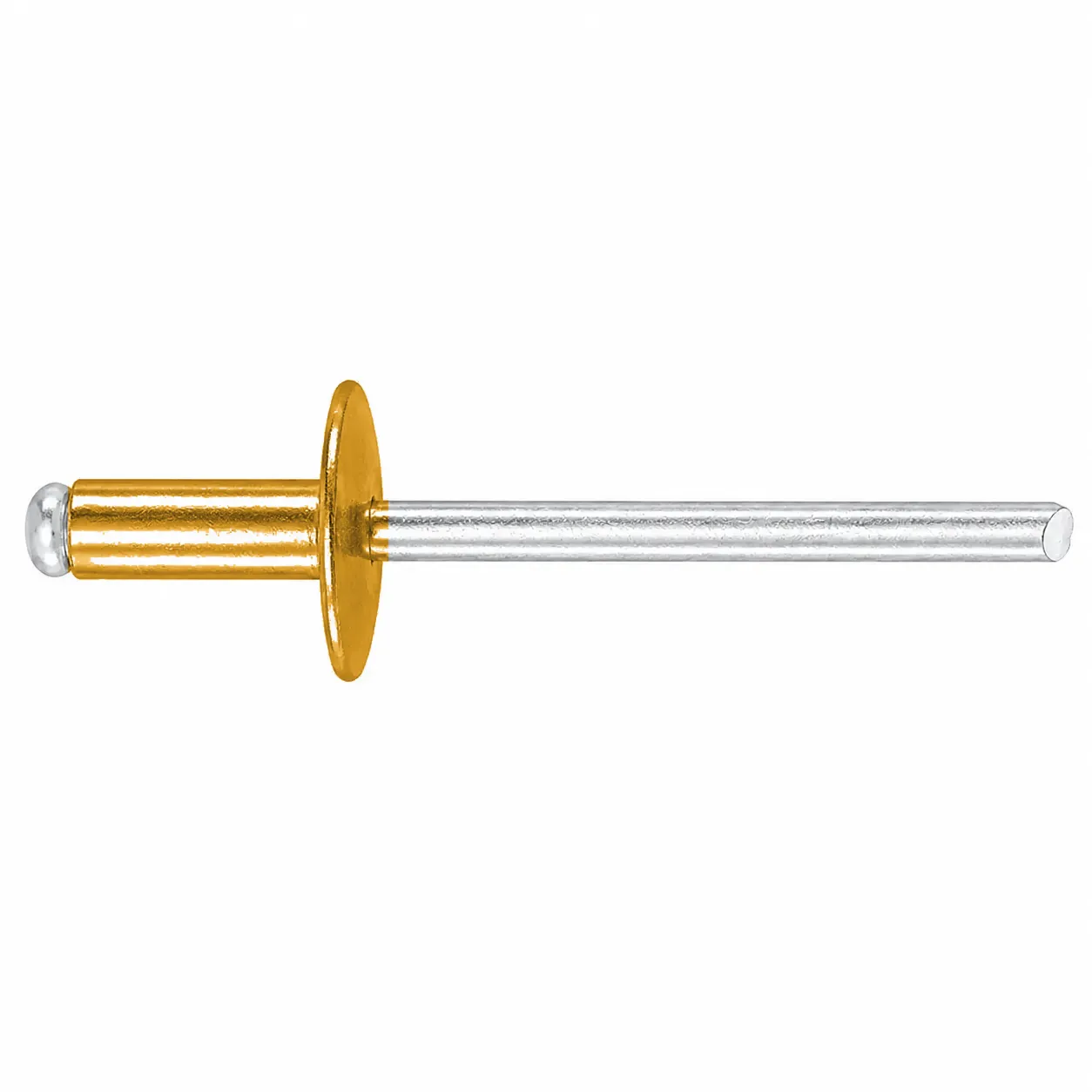 Large Flange Golden Rivets
