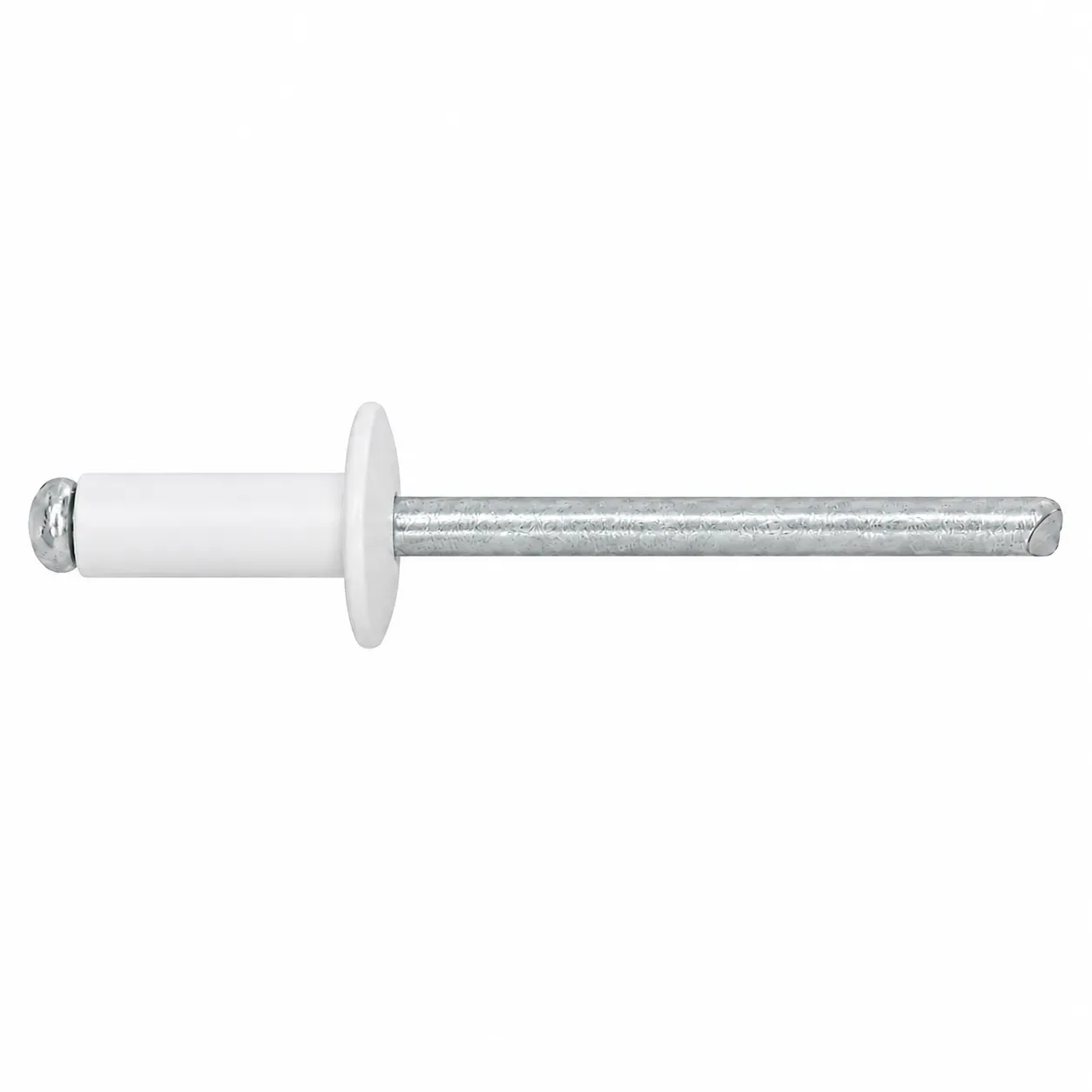 Large Flange White Pop Rivets